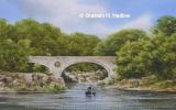 A Paddle at Cenarth 